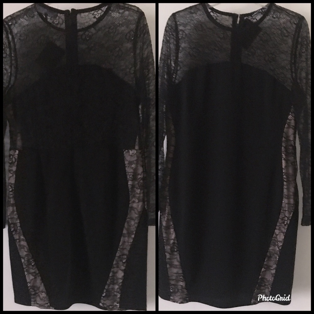Sheer Casual Dress